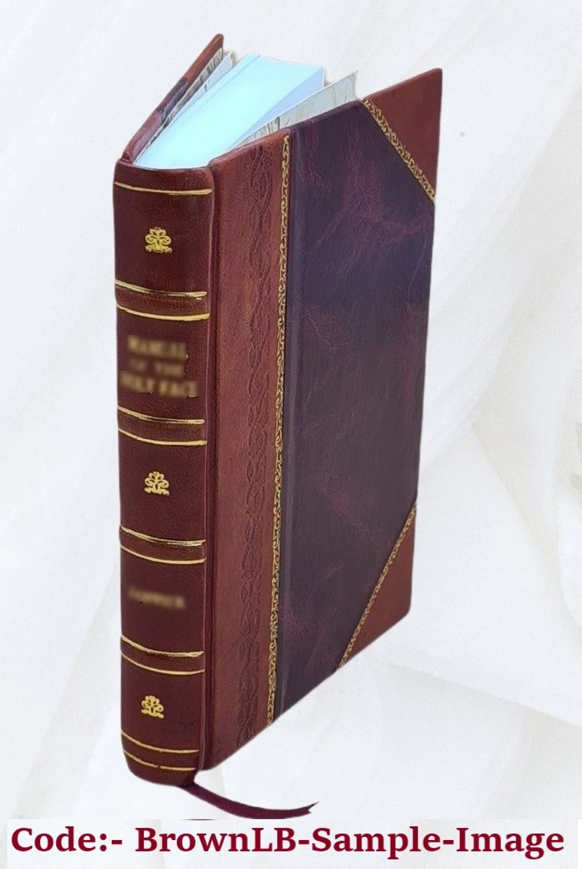 Novel Volume 2 Leather Bound I5219