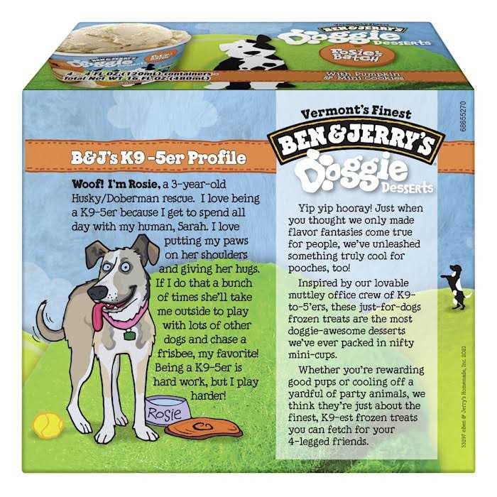 Frozen Dog Treat Pumpkin & Mini Cookies H10950