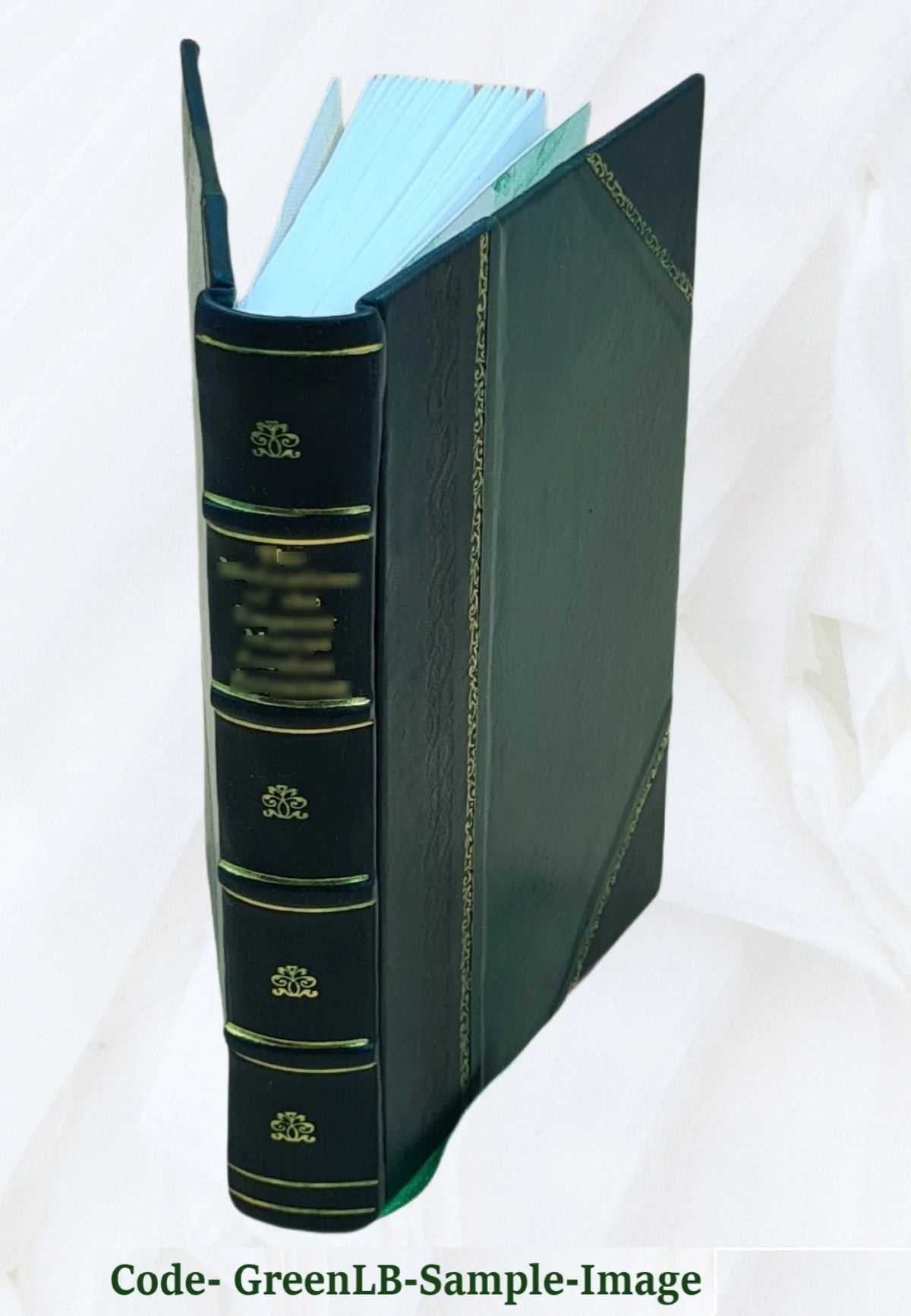 Novel Volume 2 Leather Bound I5219