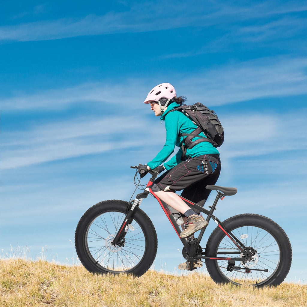 26in 4 Fat Tire Mountain Bike M274231