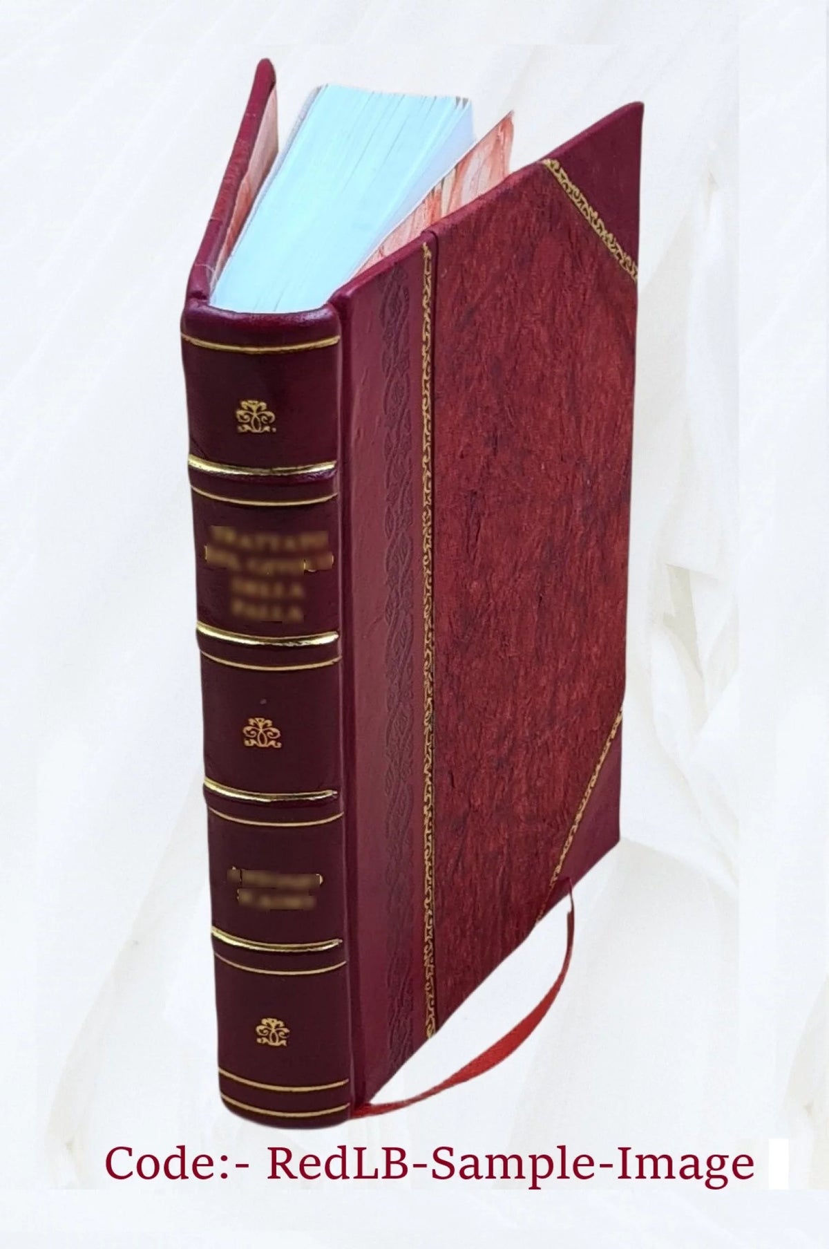 Snake River study Interim Report No 1 Leather Bound J644