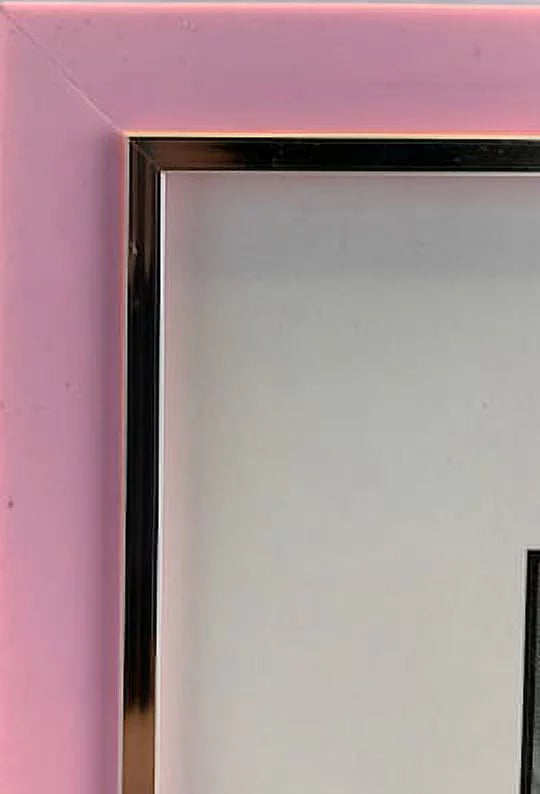 6PC 4x6" Pink Wall and Tabletop Picture Frames Y380