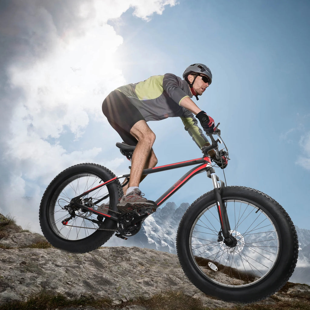 26in 4 Fat Tire Mountain Bike M274231