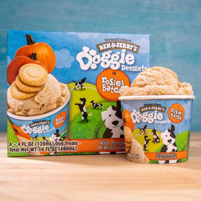 Frozen Dog Treat Pumpkin & Mini Cookies H10950