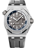 Grey Dial 42mm Dive Watch G247